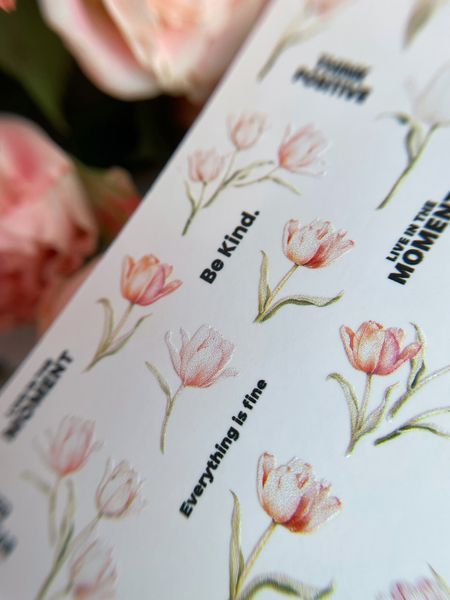 Slider design SLIDIZ decal on any background, with white backing